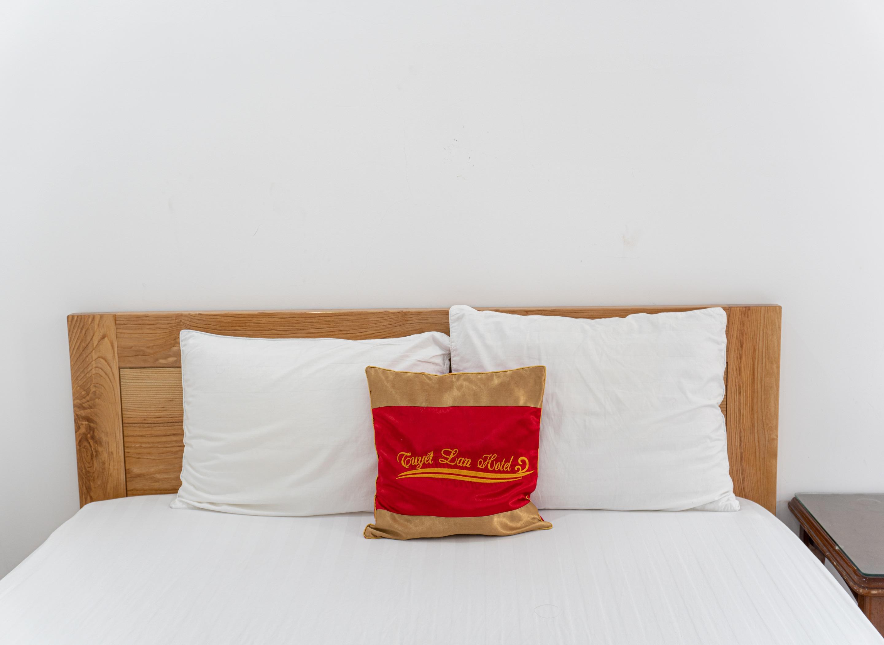 Tuyet Lan Hotel ブンタオ エクステリア 写真